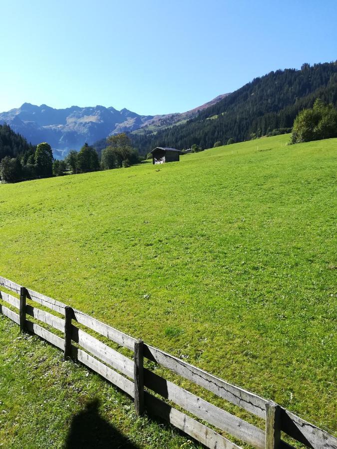 Apartament Hacklstoana Alpbach Zewnętrze zdjęcie