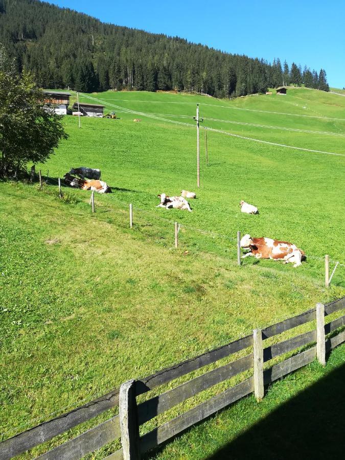 Apartament Hacklstoana Alpbach Zewnętrze zdjęcie
