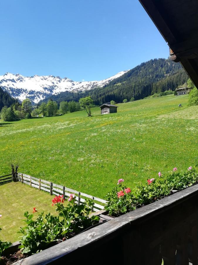 Apartament Hacklstoana Alpbach Zewnętrze zdjęcie